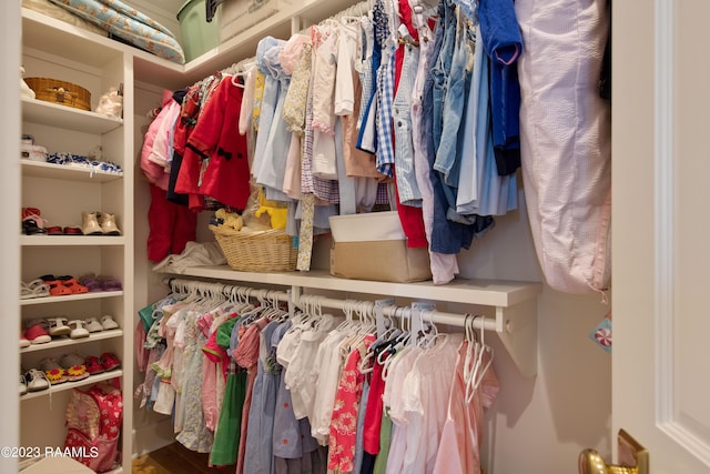 view of spacious closet