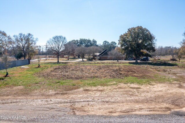 view of yard featuring a rural view