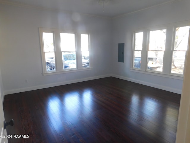 spare room featuring dark hardwood / wood-style flooring, crown molding, and a wealth of natural light