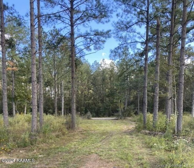 380 Martin Tram Rd, Reeves LA, 70658 land for sale