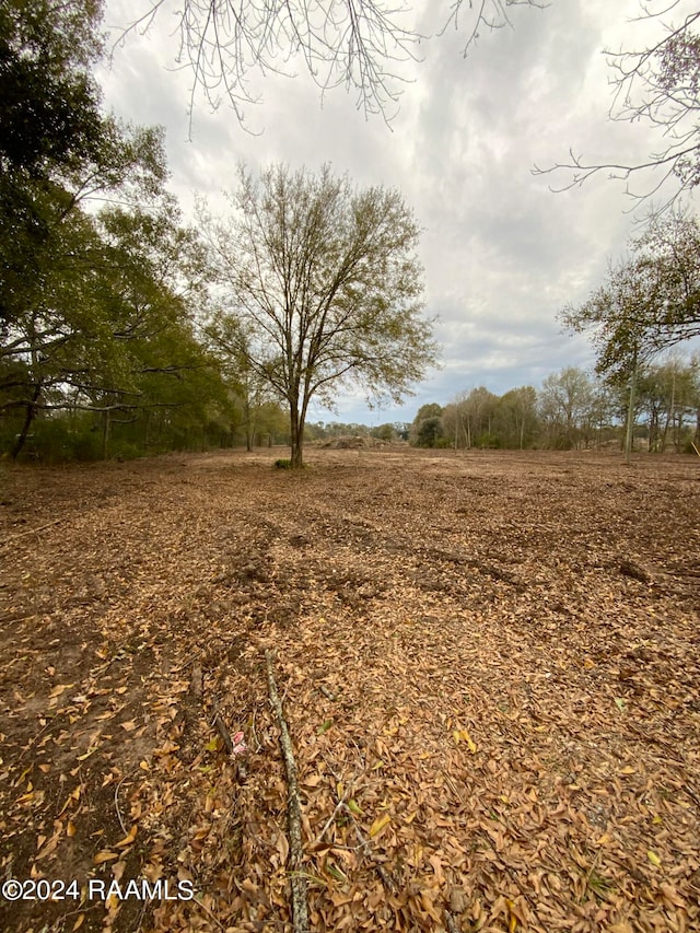 340 Saint Esprit Rd, Carencro, LA 70520 - photo 3