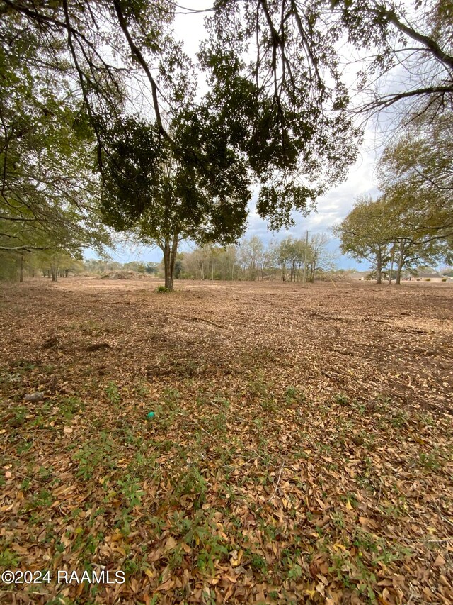 340 Saint Esprit Rd, Carencro, LA 70520 - photo 4