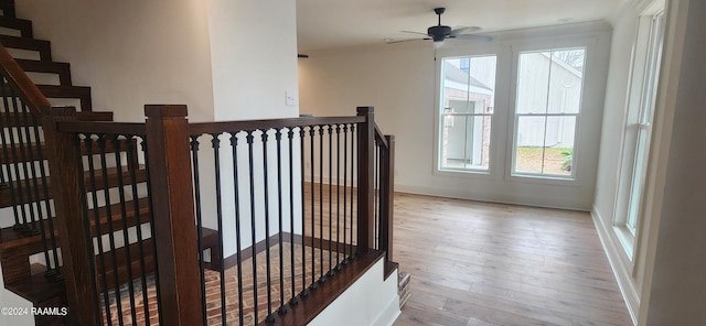 interior space with hardwood / wood-style flooring