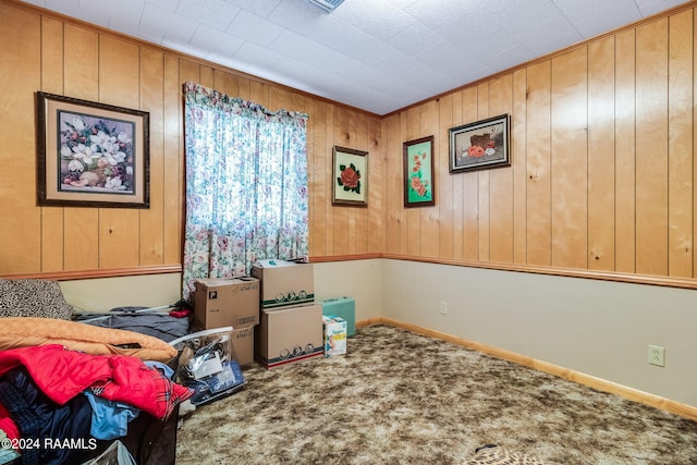 interior space with wood walls and carpet floors