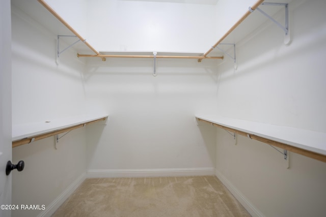 spacious closet featuring light carpet