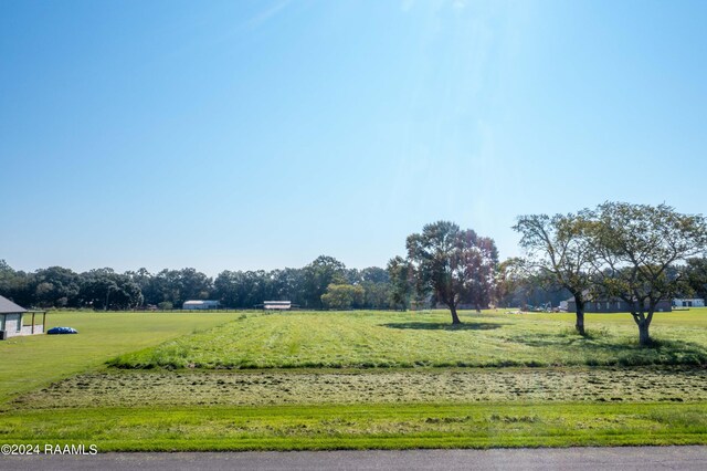 LOT77 Wagon Trl, Opelousas, LA 70570 - photo 4