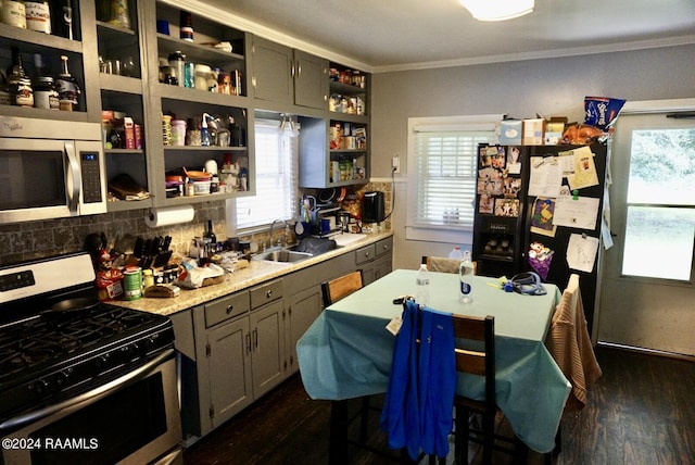 kitchen with crown molding, stainless steel appliances, dark hardwood / wood-style floors, and sink