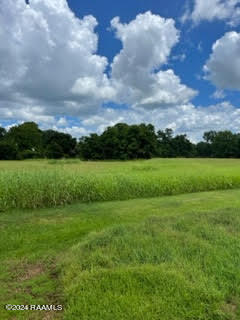 03 E Prudhomme St, Opelousas, LA 70570 - photo 2