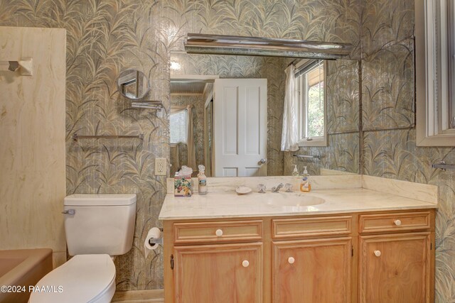 bathroom featuring toilet and vanity