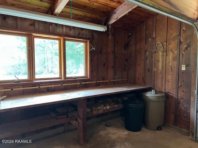 miscellaneous room with wood ceiling, wooden walls, and a wealth of natural light