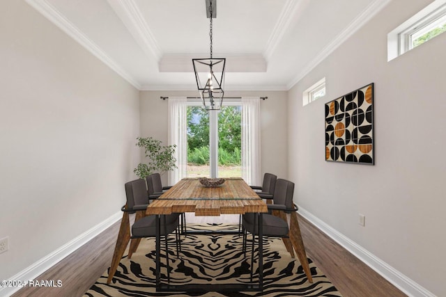 dining area featuring a raised ceiling, wood-type flooring, and ornamental molding