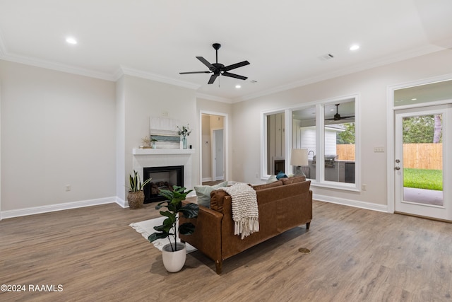 living room featuring ceiling fan, wood-type flooring, and crown molding