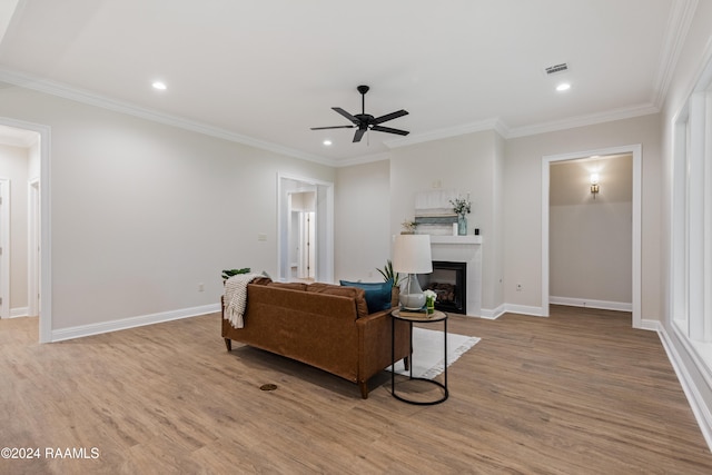 living room featuring ceiling fan, ornamental molding, and light wood-type flooring