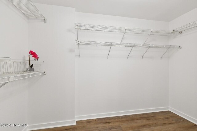 walk in closet featuring dark wood-type flooring