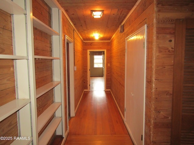 hallway featuring wooden ceiling, wood finished floors, and wood walls