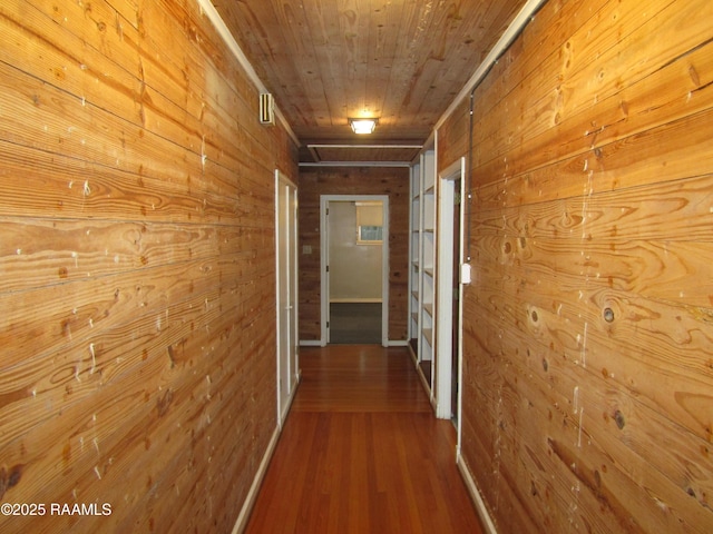 corridor featuring wooden ceiling, wood finished floors, and wooden walls