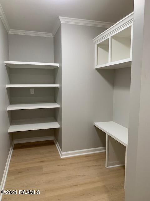 walk in closet featuring light wood-type flooring