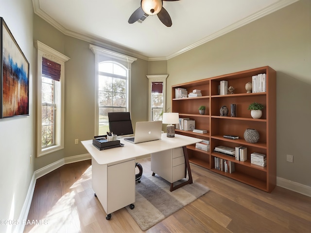 home office with ornamental molding, ceiling fan, and light wood-type flooring