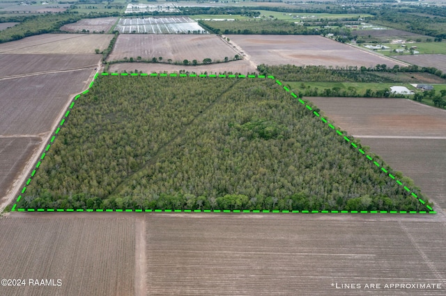 TBD Hoffpauir Rd, Rayne, LA 70578 - photo 1