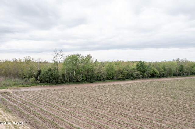 TBD Hoffpauir Rd, Rayne, LA 70578 - photo 2