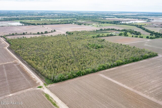 TBD Hoffpauir Rd, Rayne, LA 70578 - photo 3