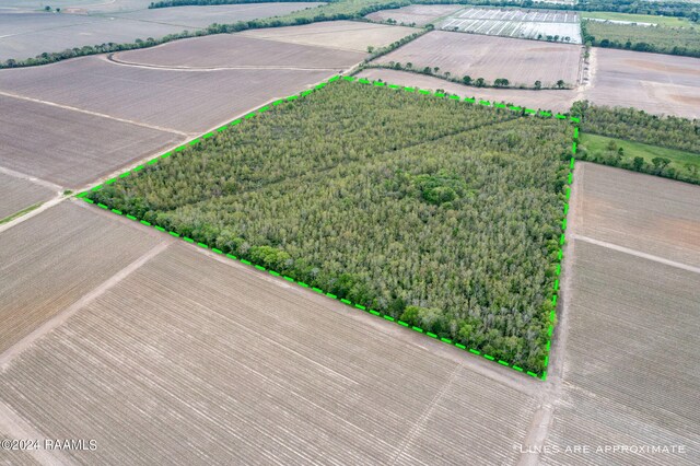 TBD Hoffpauir Rd, Rayne, LA 70578 - photo 4