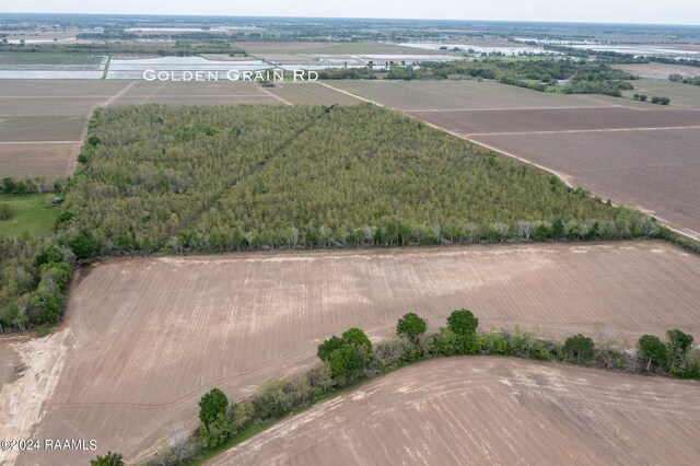 TBD Hoffpauir Rd, Rayne, LA 70578 - photo 5