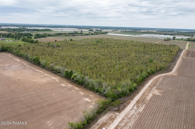 TBD Hoffpauir Rd, Rayne, LA 70578 - photo 6