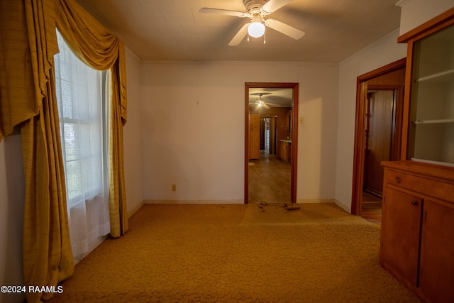 interior space with light carpet and ornamental molding