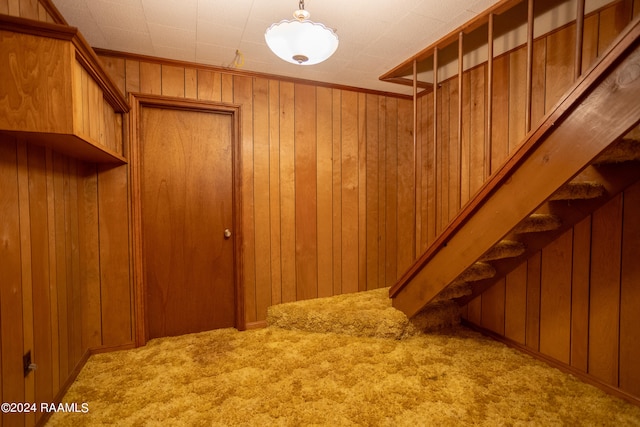 interior space with wood walls and carpet