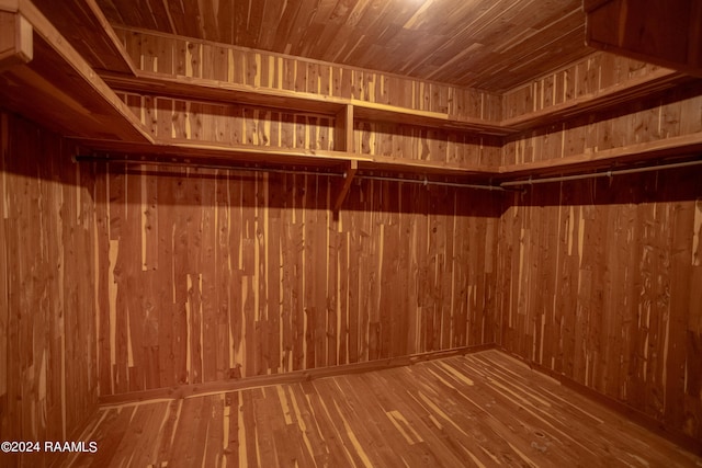 walk in closet featuring wood-type flooring