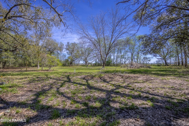 view of yard featuring a rural view