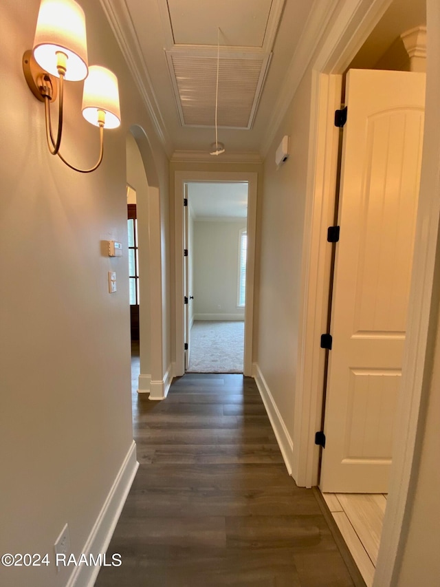 hall featuring hardwood / wood-style floors, a wealth of natural light, and crown molding