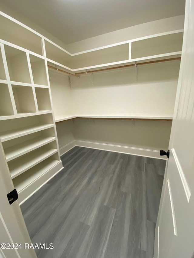 walk in closet featuring hardwood / wood-style flooring