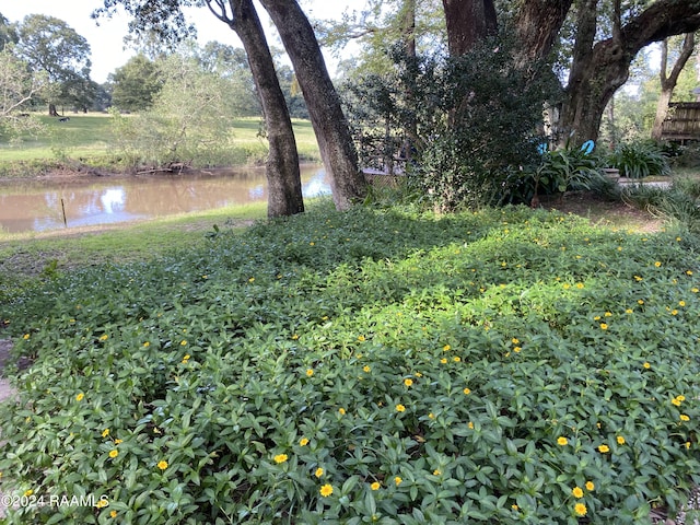 view of yard with a water view