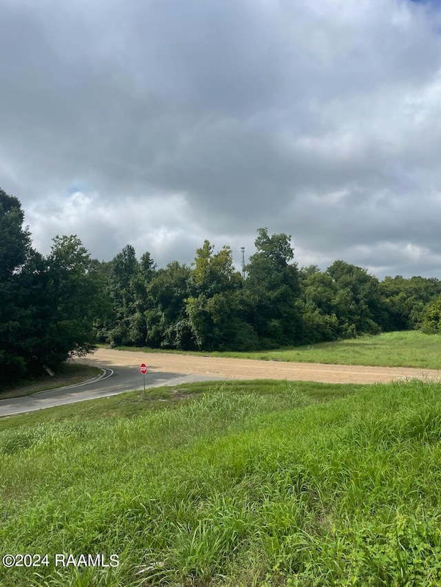 TBD E Prudhomme Ln Unit 1, Opelousas, LA 70570 - photo 2