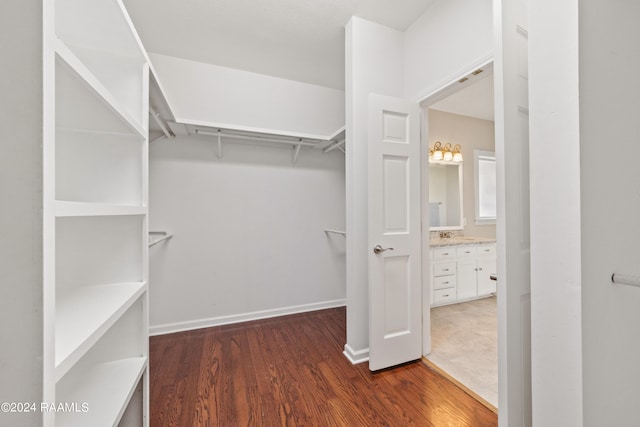 spacious closet with dark wood-type flooring