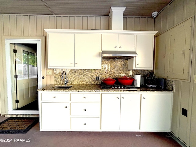 kitchen featuring white cabinets, light stone countertops, tasteful backsplash, and sink