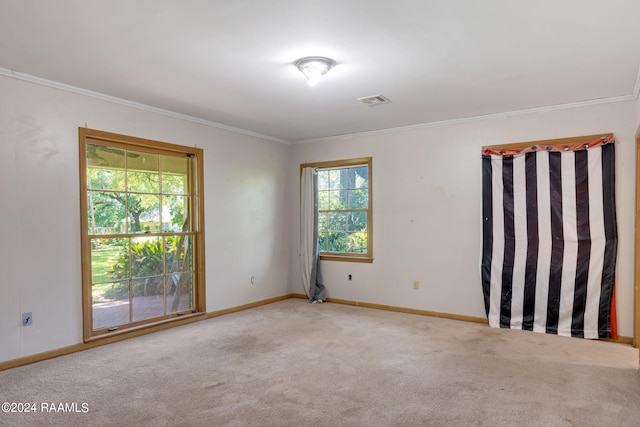 spare room with light carpet and crown molding