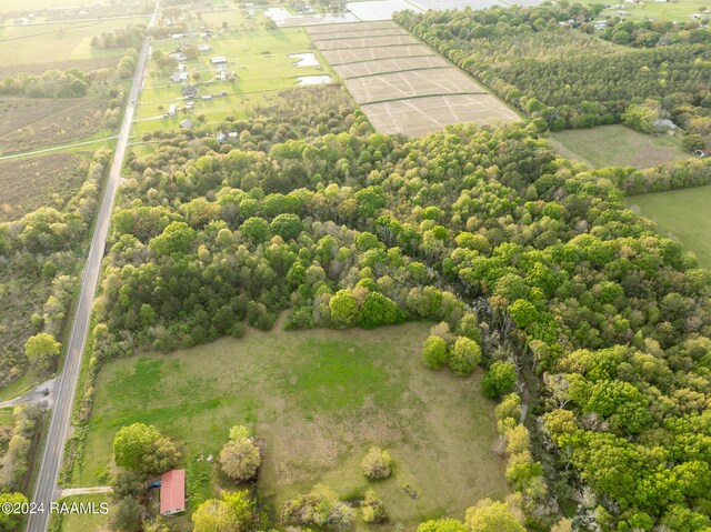 TBD Richard School Rd, Church Point, LA 70525 - photo 5