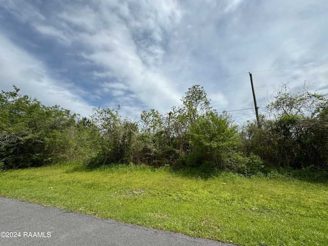 Tbd Highway 182, Opelousas LA, 70570 land for sale