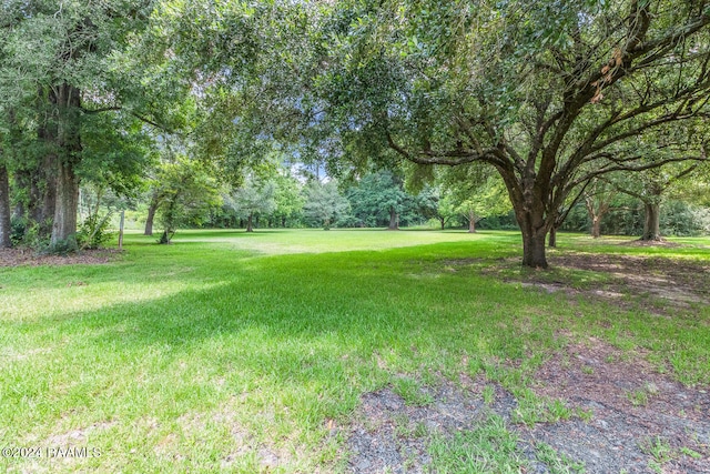 Listing photo 2 for TBD Kingston Pl, Opelousas LA 70570