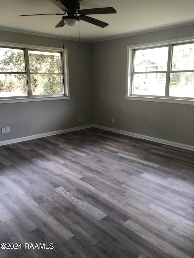 spare room with ceiling fan, dark wood-type flooring, and ornamental molding