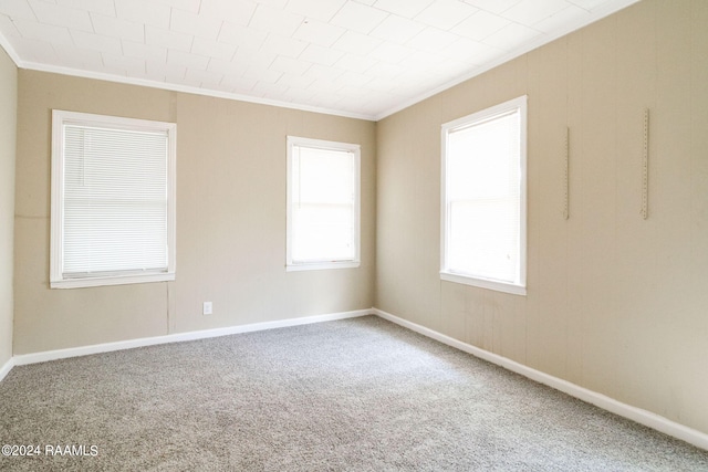 carpeted spare room with ornamental molding