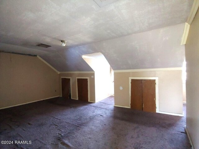 additional living space with vaulted ceiling, a textured ceiling, and carpet