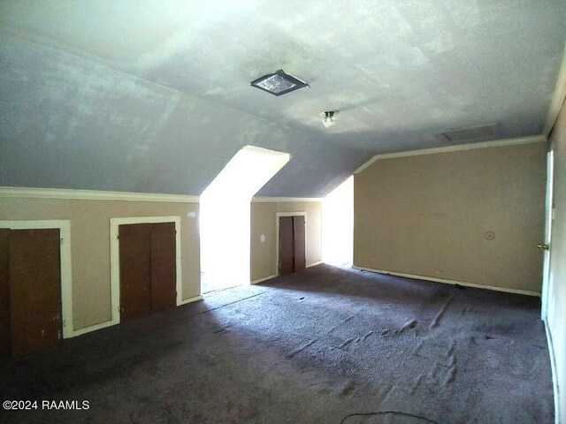 additional living space with carpet flooring and vaulted ceiling