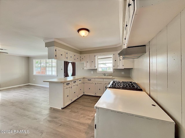 kitchen featuring a wealth of natural light, light hardwood / wood-style flooring, sink, and custom range hood