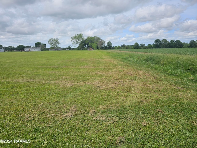 TBD Hillside Rd, Abbeville, LA 70510 - photo 5