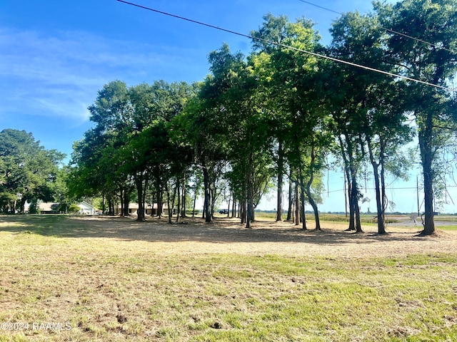 3313 Chalfonte Crescent Rd, New Iberia, LA 70563 - photo 3