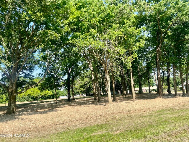 3313 Chalfonte Crescent Rd, New Iberia, LA 70563 - photo 4